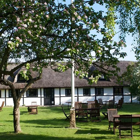 Strandgaarden Hotel 3*